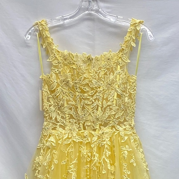 Ellie Wilde embroidered fit and flare sleeveless long Gown - Picture 8 of 11